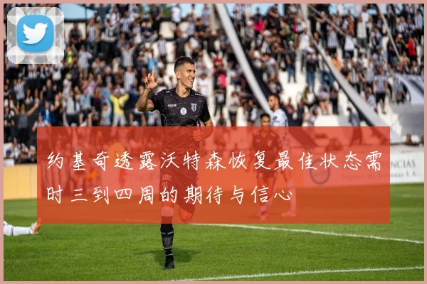 约基奇透露沃特森恢复最佳状态需时三到四周的期待与信心