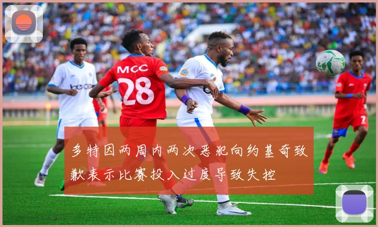 多特因两周内两次恶犯向约基奇致歉表示比赛投入过度导致失控