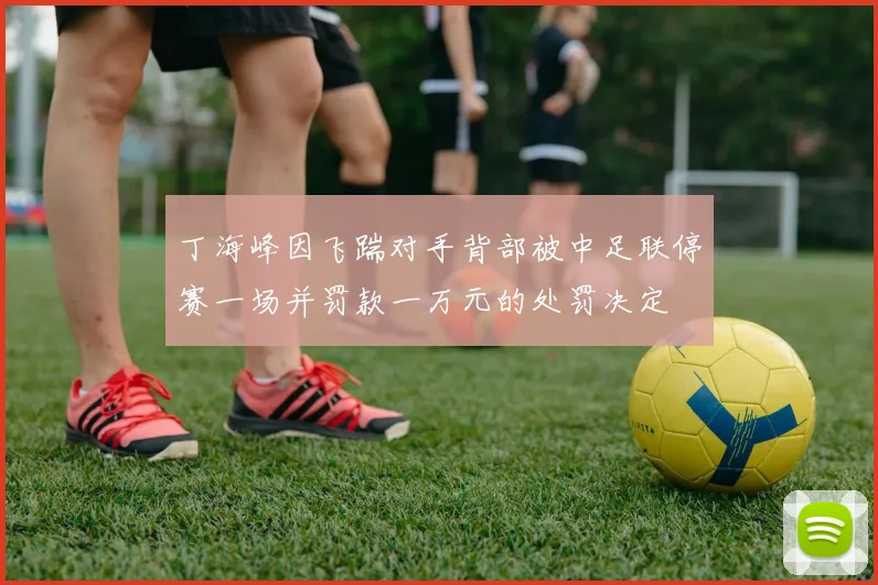 丁海峰因飞踹对手背部被中足联停赛一场并罚款一万元的处罚决定